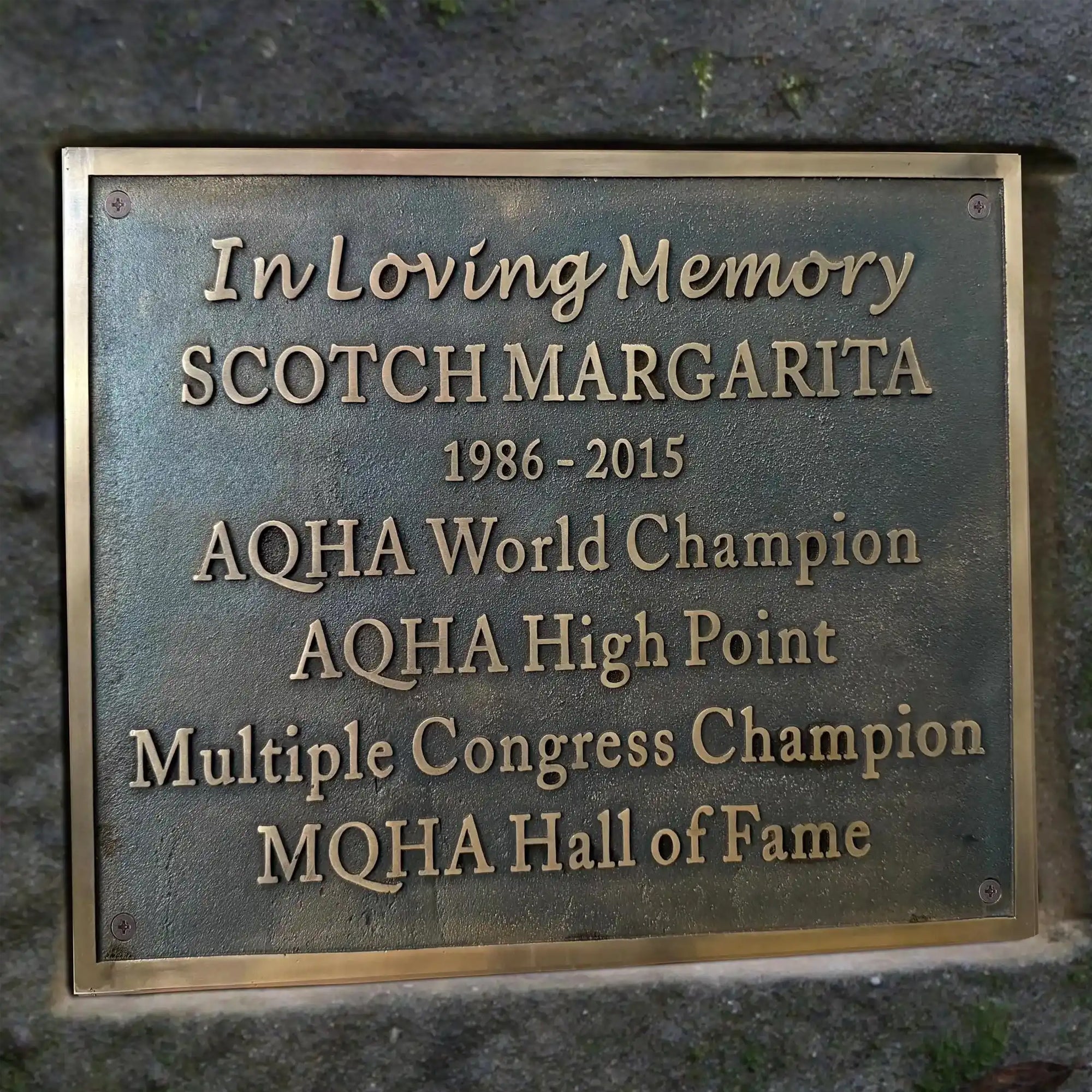 Custom Bronze Memorial Plaque – Personalized Engraved Dedication Sign